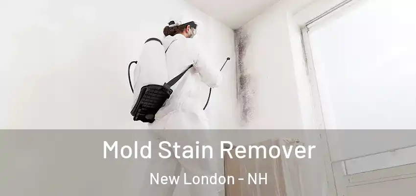  Mold Stain Remover New London - NH