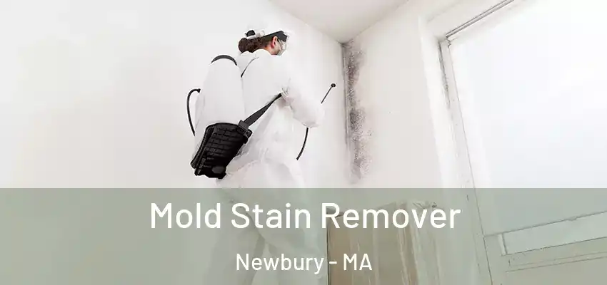  Mold Stain Remover Newbury - MA