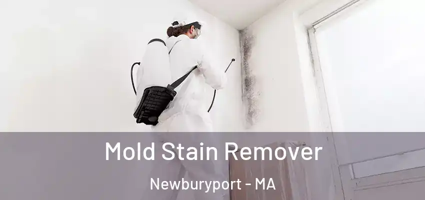  Mold Stain Remover Newburyport - MA