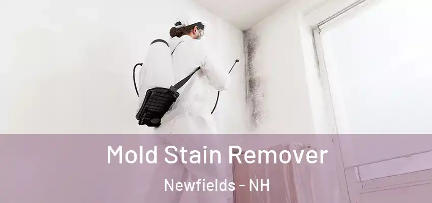 Mold Stain Remover Newfields - NH
