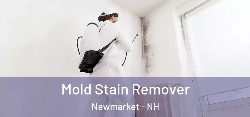 Mold Stain Remover Newmarket - NH
