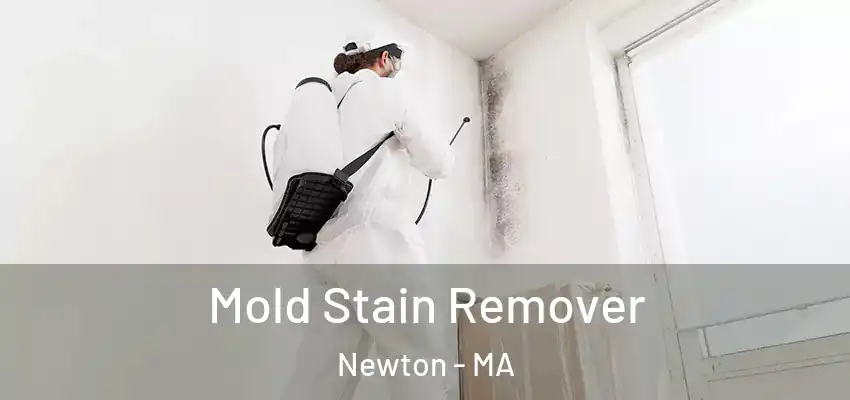  Mold Stain Remover Newton - MA
