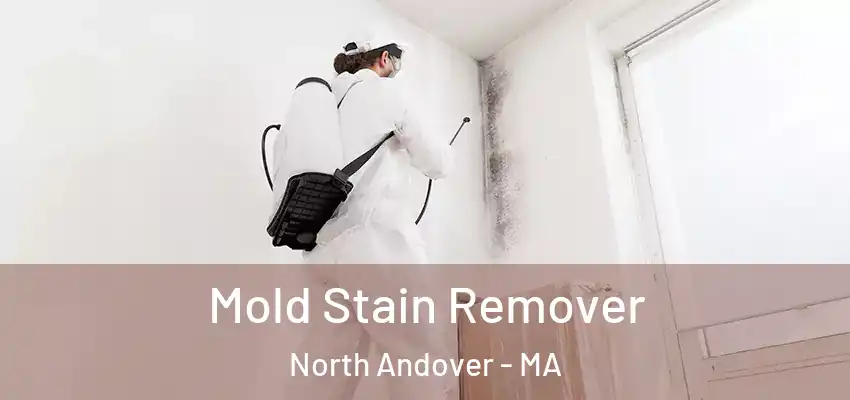  Mold Stain Remover North Andover - MA