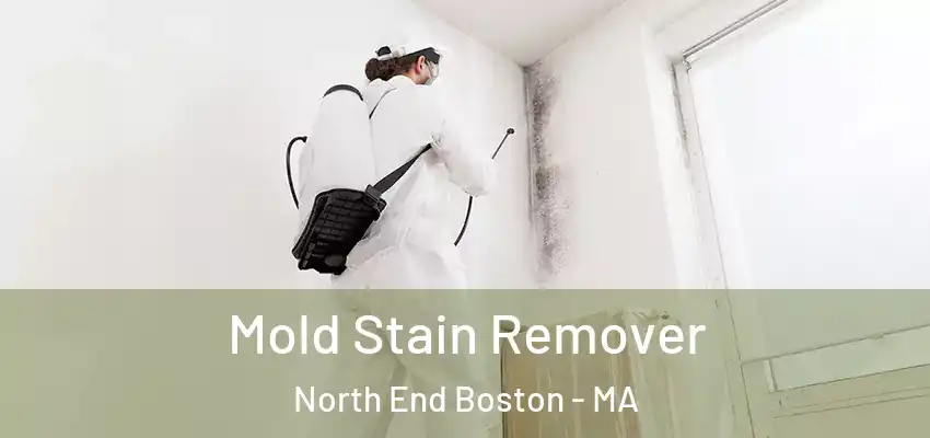 Mold Stain Remover North End Boston - MA
