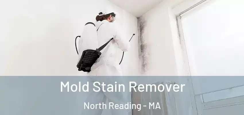  Mold Stain Remover North Reading - MA