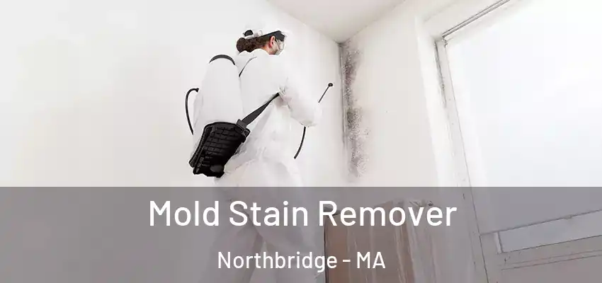 Mold Stain Remover Northbridge - MA