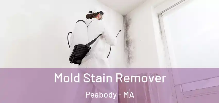 Mold Stain Remover Peabody - MA