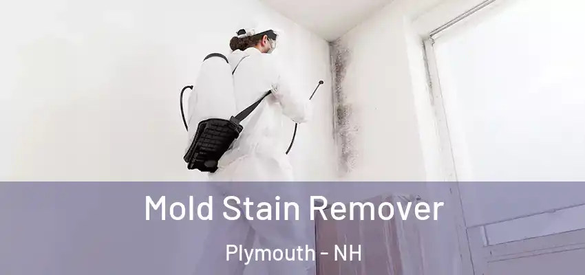  Mold Stain Remover Plymouth - NH
