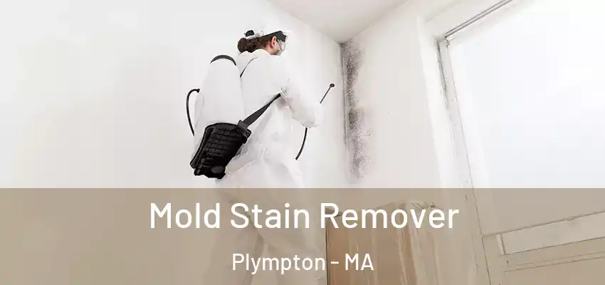 Mold Stain Remover Plympton - MA