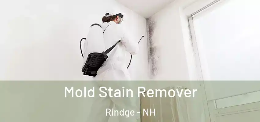 Mold Stain Remover Rindge - NH