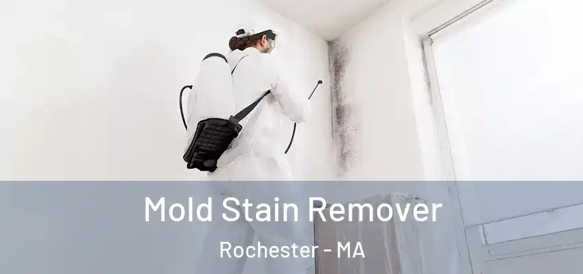 Mold Stain Remover Rochester - MA