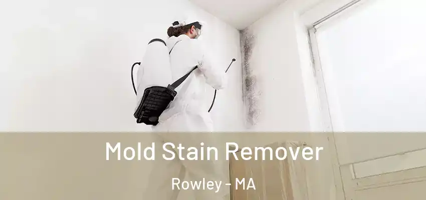 Mold Stain Remover Rowley - MA