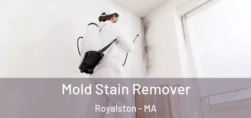 Mold Stain Remover Royalston - MA