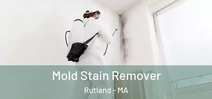  Mold Stain Remover Rutland - MA