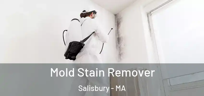 Mold Stain Remover Salisbury - MA