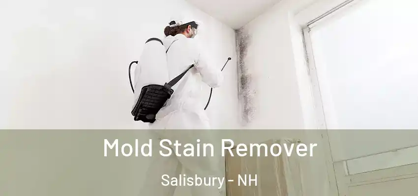  Mold Stain Remover Salisbury - NH