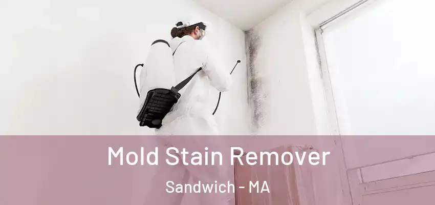 Mold Stain Remover Sandwich - MA