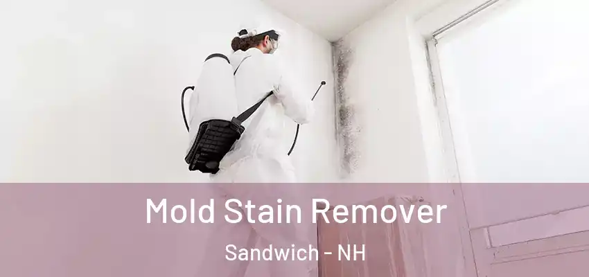  Mold Stain Remover Sandwich - NH