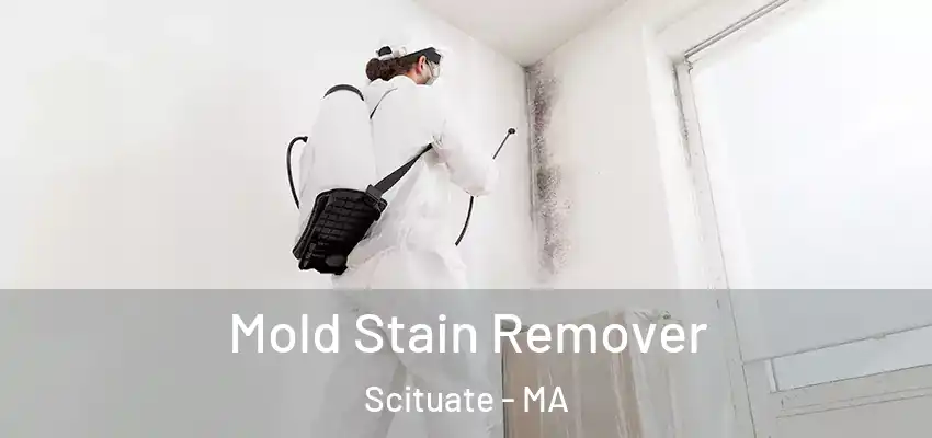 Mold Stain Remover Scituate - MA