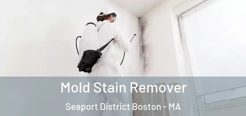 Mold Stain Remover Seaport District Boston - MA