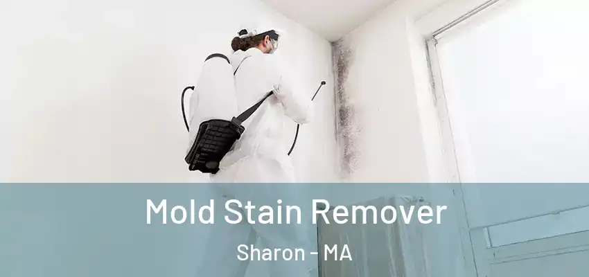 Mold Stain Remover Sharon - MA