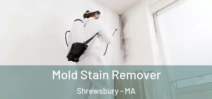 Mold Stain Remover Shrewsbury - MA