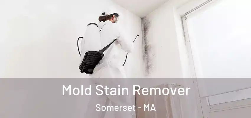 Mold Stain Remover Somerset - MA