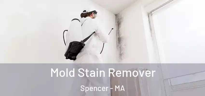  Mold Stain Remover Spencer - MA