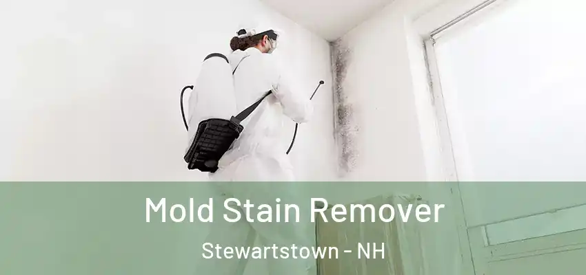 Mold Stain Remover Stewartstown - NH