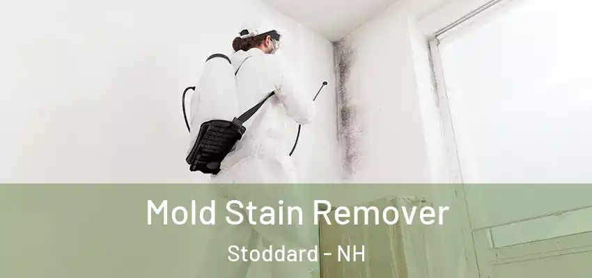 Mold Stain Remover Stoddard - NH