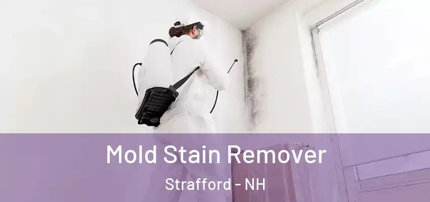  Mold Stain Remover Strafford - NH