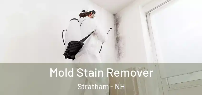  Mold Stain Remover Stratham - NH