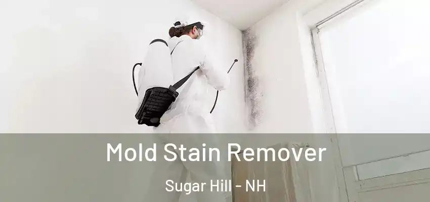 Mold Stain Remover Sugar Hill - NH