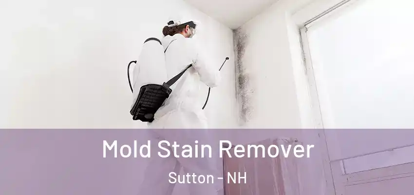  Mold Stain Remover Sutton - NH