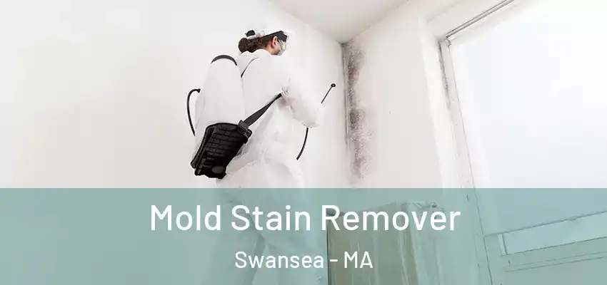 Mold Stain Remover Swansea - MA