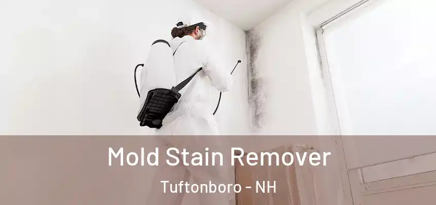  Mold Stain Remover Tuftonboro - NH