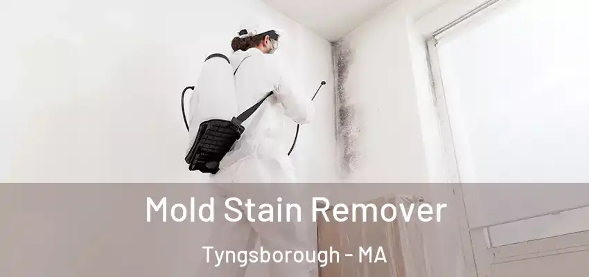  Mold Stain Remover Tyngsborough - MA