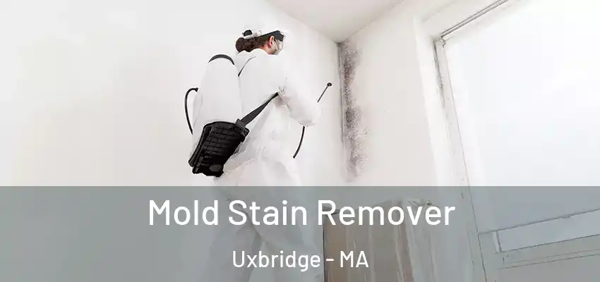 Mold Stain Remover Uxbridge - MA