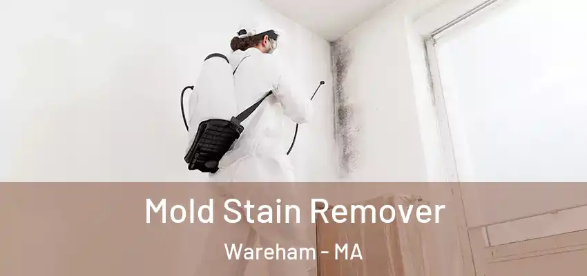 Mold Stain Remover Wareham - MA