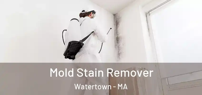  Mold Stain Remover Watertown - MA