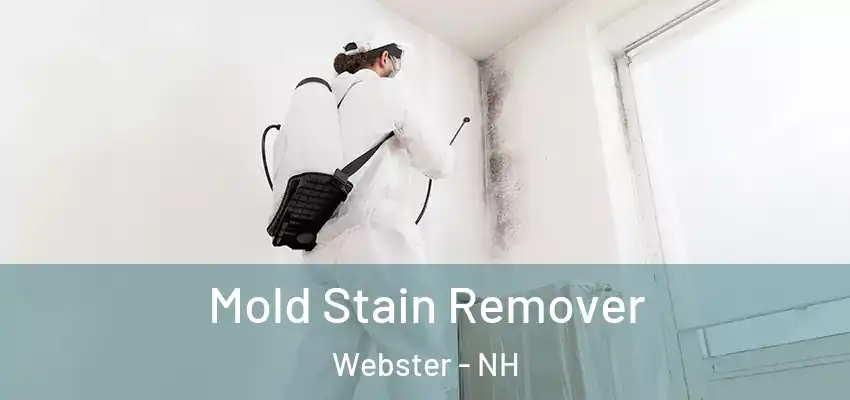 Mold Stain Remover Webster - NH