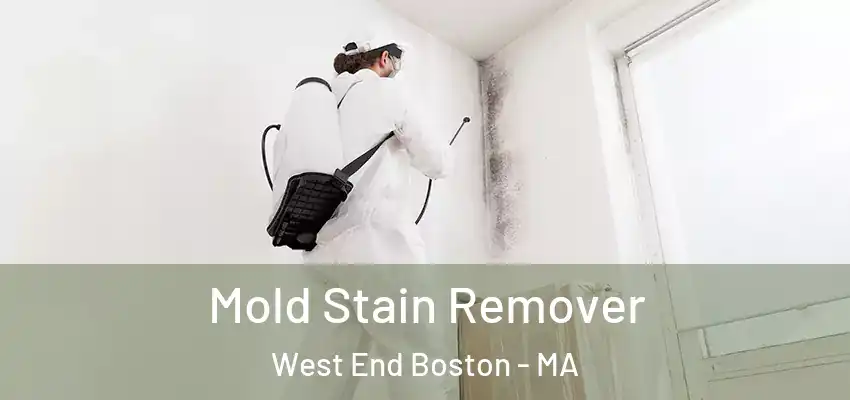 Mold Stain Remover West End Boston - MA