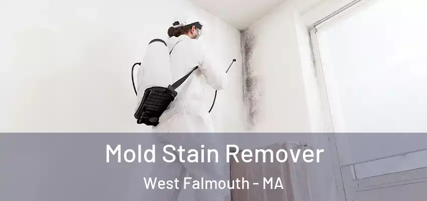 Mold Stain Remover West Falmouth - MA