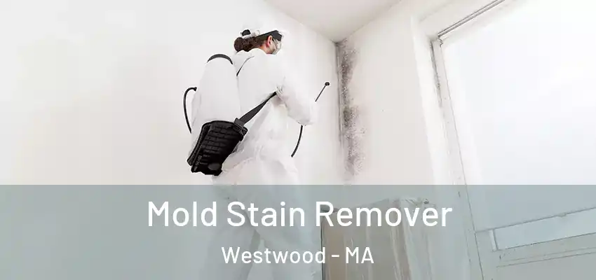  Mold Stain Remover Westwood - MA