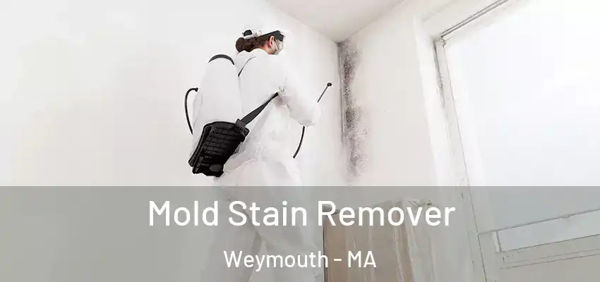 Mold Stain Remover Weymouth - MA