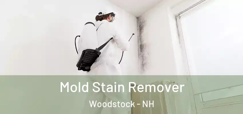  Mold Stain Remover Woodstock - NH