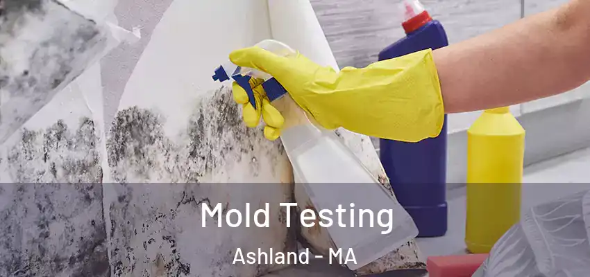 Mold Testing Ashland - MA