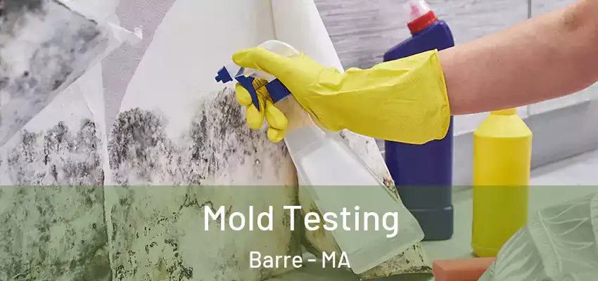  Mold Testing Barre - MA