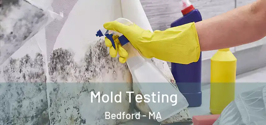  Mold Testing Bedford - MA