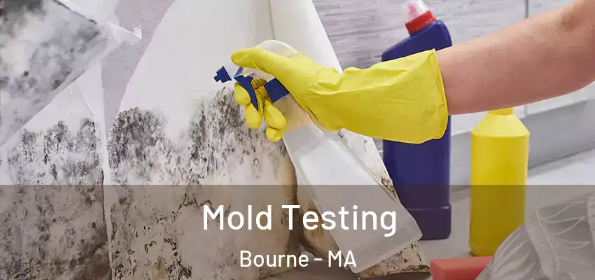  Mold Testing Bourne - MA